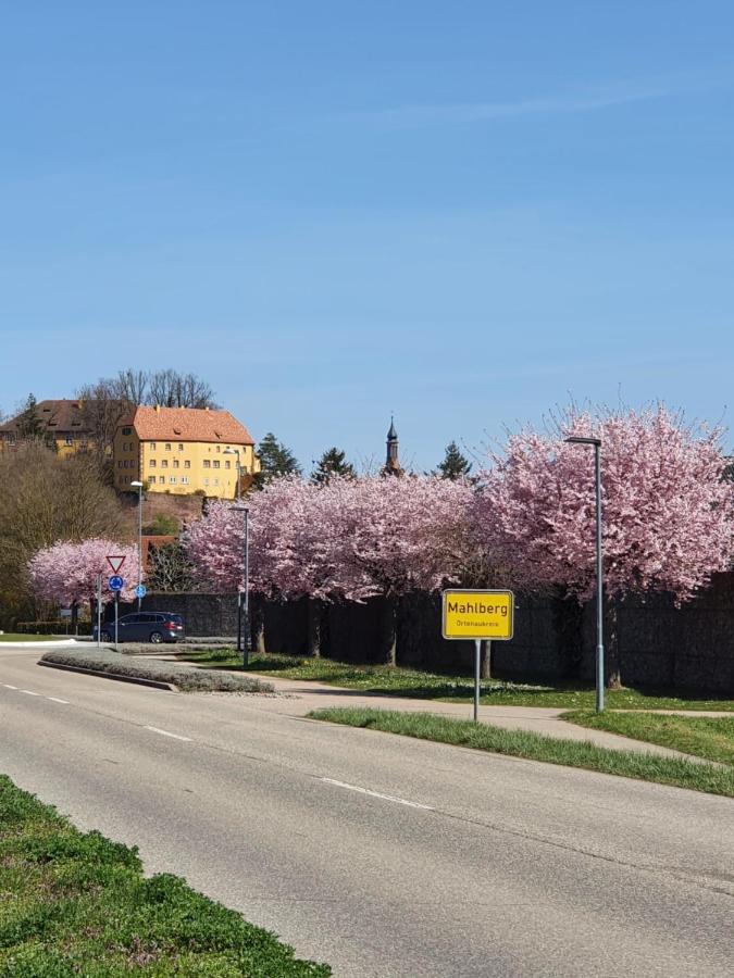 Ferienwohnung Zum Schlossblick Naehe Europa Park מהלברג מראה חיצוני תמונה